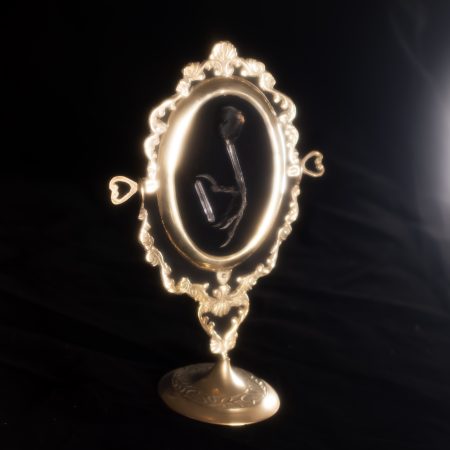 Crow Claw in Gold Frame