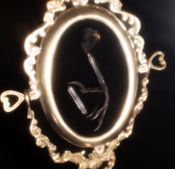 Crow Claw in Gold Frame - Image 2