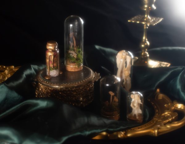 Oddity Mystery Box - Large - Image 4