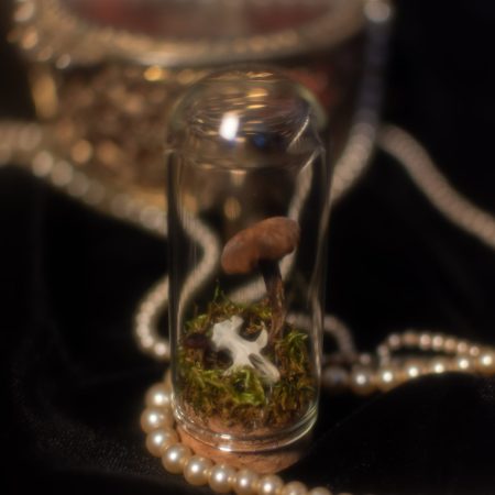 Mystery Vole Skull Terrarium