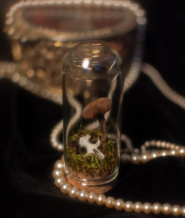 Oddity Mystery Box - Large - Image 12