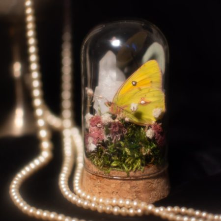 Butterfly Terrarium with Clear Quartz