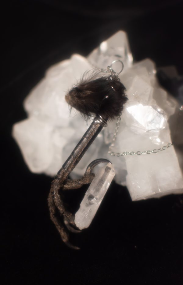 Silver Crow Claw Necklace