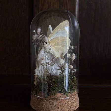 Butterfly Terrarium with Quartz geode