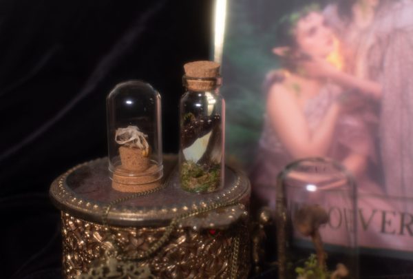 Oddity Mystery Box - Large - Image 9