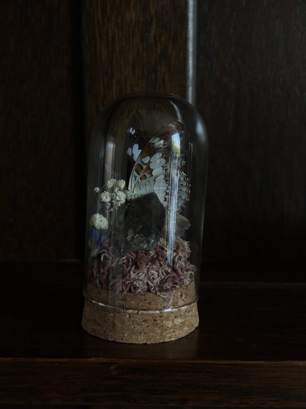 Butterfly Terrarium with Bluebells - Image 3