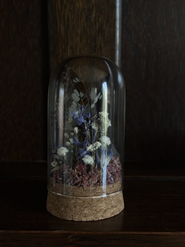 Butterfly Terrarium with Bluebells - Image 4