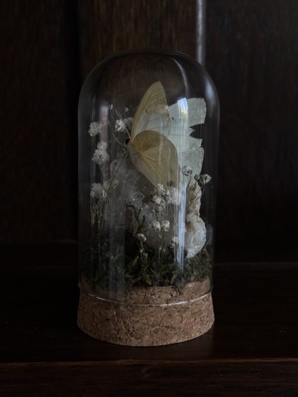 Butterfly Terrarium with Quartz geode - Image 2