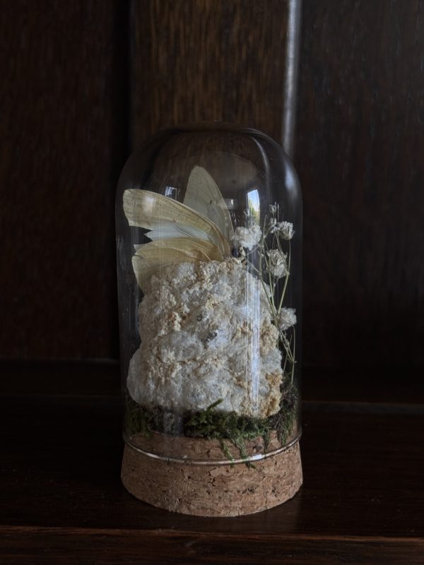 Butterfly Terrarium with Quartz geode - Image 4