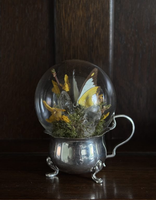 Butterfly Dome on a Vintage Silver Dish - Image 4