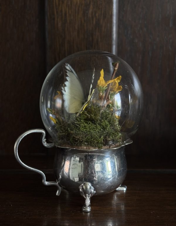 Butterfly Dome on a Vintage Silver Dish - Image 3