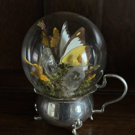 Butterfly Dome on a Vintage Silver Dish