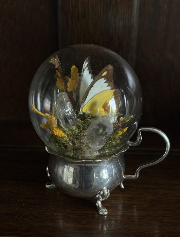 Butterfly Dome on a Vintage Silver Dish