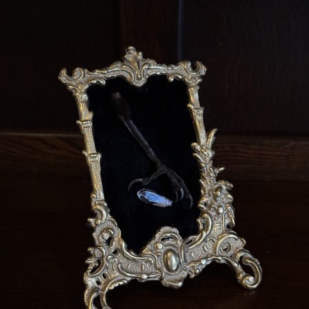 Crow Claw with Quartz in Gold ornate Frame