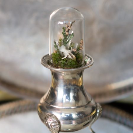 Vole Skull terrarium on a Vintage Silver Dish